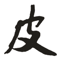 皮姓起名
